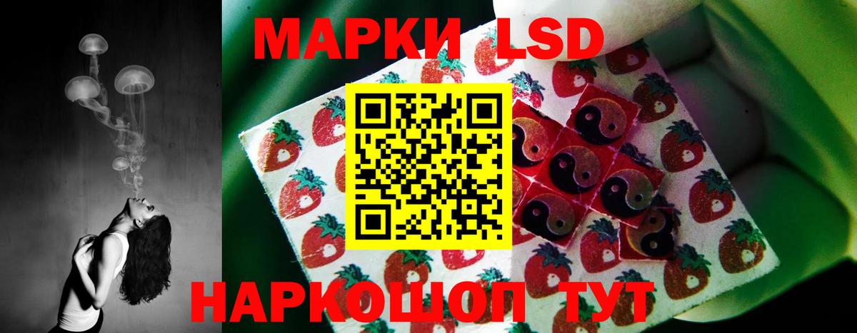 blacksprut онион  Вход с VPN  Лсд 25 экстази  Зеленодольск  Лсд 25 экстази кислота 
