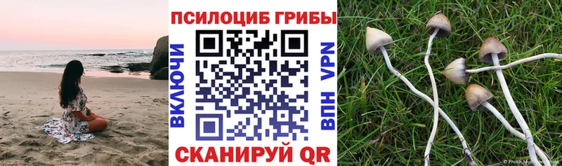 наркотики  Зеленодольск  Псилоцибиновые грибы MAGIC MUSHROOMS 