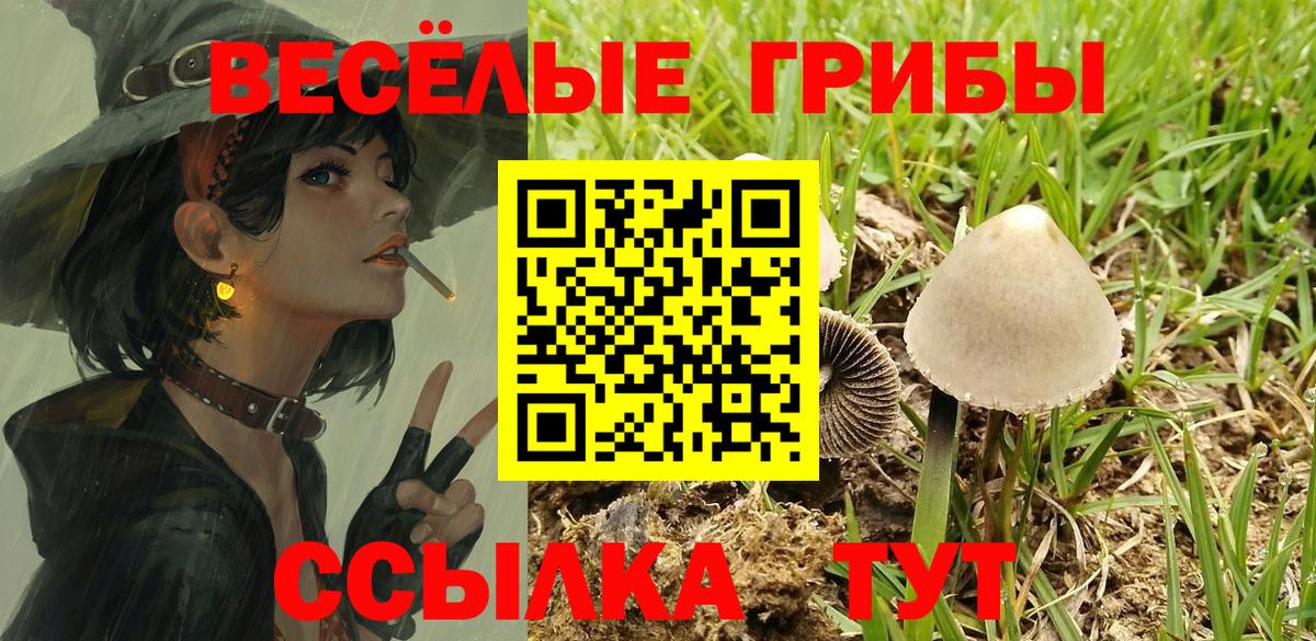 Зеленодольск  цена   Псилоцибиновые грибы мухоморы  Вход с VPN  Псилоцибиновые грибы прущие грибы 